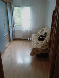 Vanzare Apartament 3 Camere Semidecomandat Berceni-Al.Ciceu - foto 6