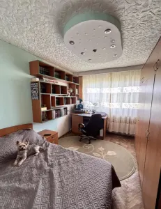 Vanzare Apartament 2 Camere Semidecomandat Berceni-Aliorului - foto 1