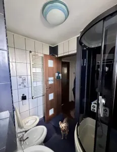 Vanzare Apartament 2 Camere Semidecomandat Berceni-Aliorului - foto 5