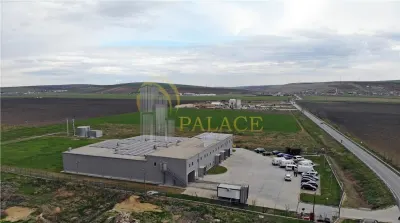 Hala Industriala Premium Letcani Complet Echipata - foto 3