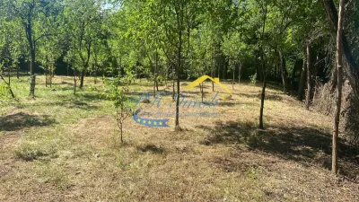 Teren Intravilan de vanzare, Provita de Jos - Provita de Jos