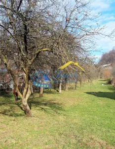 Teren intravilan de vanzare, Adunati - foto 3