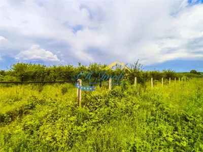 Teren intravilan de vanzare, Baicoi Prahova - foto 1