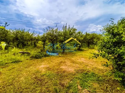 Teren intravilan de vanzare, Baicoi Prahova - foto 3