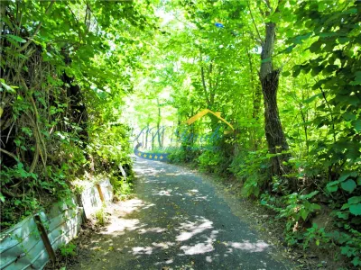 Teren intravilan de vanzare, Adunati Prahova - foto 6