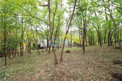 Casa de vanzare Alunis, Prahova - foto 12