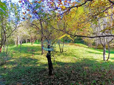 Teren intravilan de vanzare, Adunati Prahova - foto 4