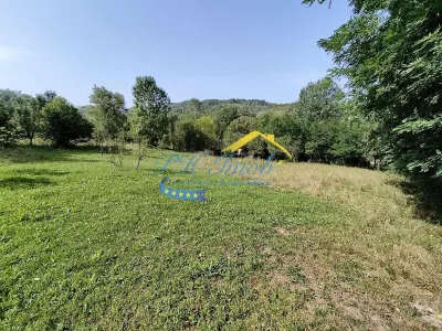 Teren Intravilan de Vanzare, Provita - foto 7