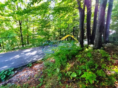 Teren Intravilan de Vanzare in Sinaia - foto 3
