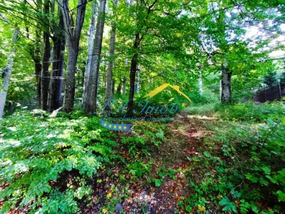 Teren Intravilan de Vanzare in Sinaia - foto 4