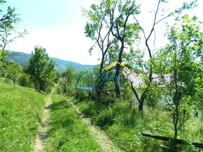 Casa de vanzare, Valea Doftanei - foto 14