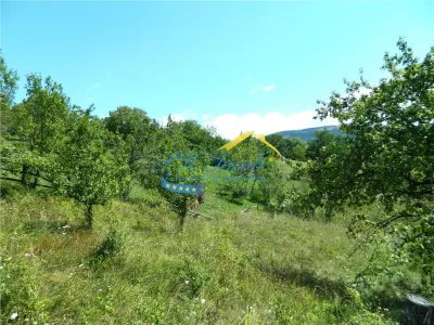 Casa de vanzare, Valea Doftanei - foto 15