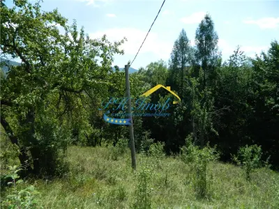 Casa de vanzare, Valea Doftanei - foto 16