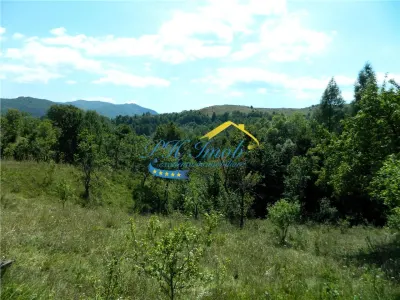 Casa de vanzare, Valea Doftanei - foto 17