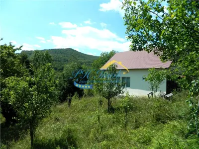 Casa de vanzare, Valea Doftanei - foto 18
