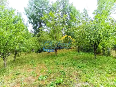 Teren intravilan de vanzare, Adunati Prahova - foto 3