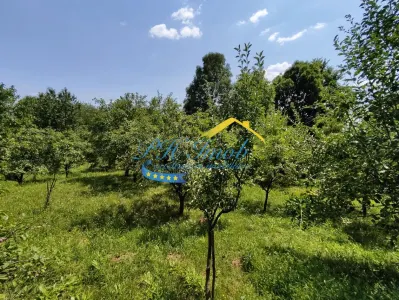 Teren intravilan de vanzare, Campina - foto 6