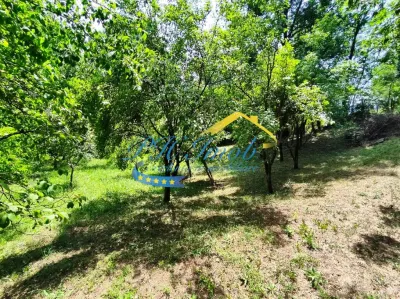 Teren intravilan de vanzare, Campina - foto 7