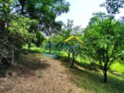 Teren intravilan de vanzare, Campina - foto 8