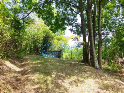 Teren intravilan de vanzare, Campina - foto 9