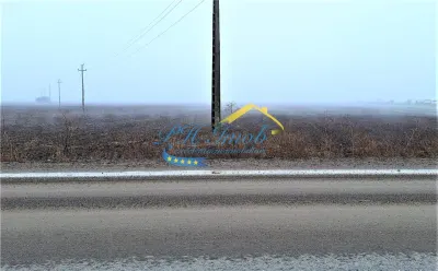 Teren extravilan de Vanzare, Targsoru Vechi - foto 3