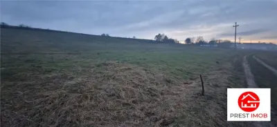 De vanzare teren 1,2 Ha in Laureni - foto 4
