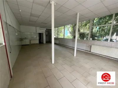 De inchiriat spatiu comercial in Aleea Carpati - foto 1