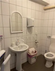 SPATIU PENTRU BIROU SAU CLINICA MEDICALA LA PALATUL FLAVIA, CENTRALA PROPRIE, ZONA EXCELENTA - foto 9