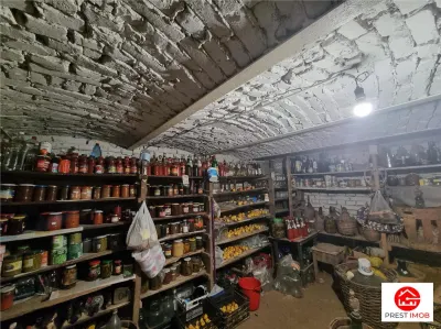 Casa istorica muzeu 4 camere, 2 bai cu 1344 mp teren, ultracentral, Tg Mures - foto 11