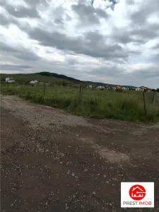 Teren de vanzare Sangeorgiu de Mures - foto 3