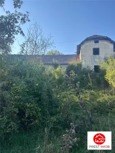 Conac in paragina - foto 2