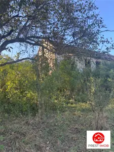 Conac in paragina - foto 3