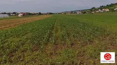 Teren de vanzare in Santana de Mures - foto 2