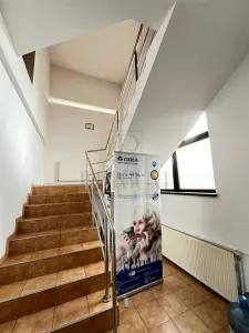 MIRCEA CEL BATRAN - CASA INDIVIDUALA + TEREN GENEROS - SAD - INVESTITIE UNICA - Timisoara