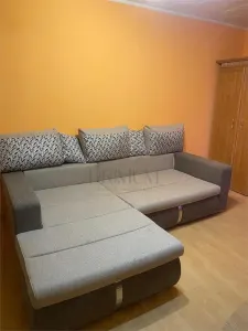 Apartament 1 camera-Lipovei-Centrala - Timisoara