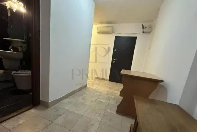 Apartament 1 camera-Aradului-Centrala-AC-Renovat - Timisoara