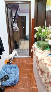 Sagului - 2 Camere - Renovat - Centrala termica proprie - Balcon - foto 5