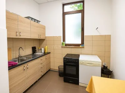 Spatiu de inchiriat generos centru Talmaciu - foto 8
