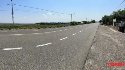 Bogdan Voda - E85 - teren stradal - foto 4