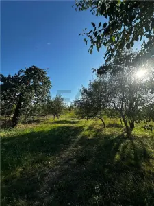 Reco Casa cu teren in Budureasa, langa Stana de Vale - foto 11