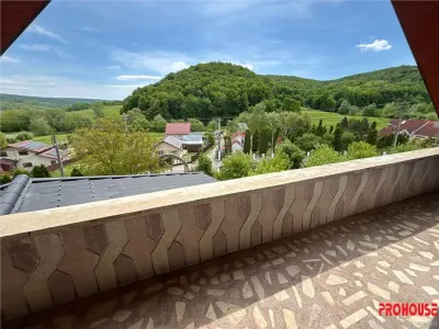 OFERTA LIMITATA - VILA DEOSEBITA IN SLATINA - LUNCANI - OAZA DE LINISTE LA MARGINEA PADURII - foto 16