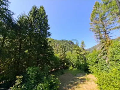 RECO  Casa Boga - foto 1