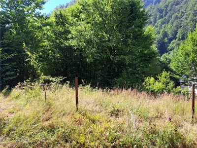 RECO  Casa Boga - foto 8
