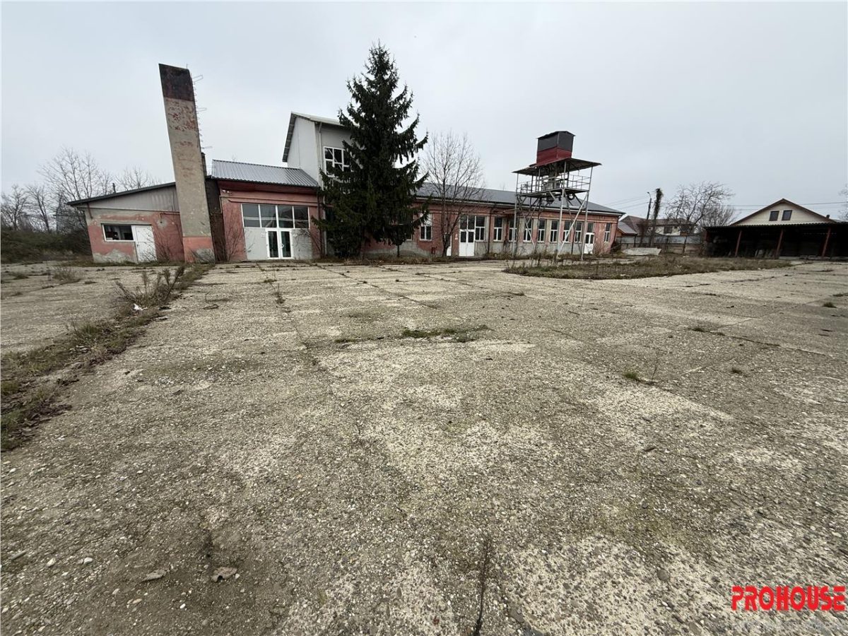 Hale industriale de inchiriat cu platforma betonata de 10.424mp - Șerbanesti - Bacau