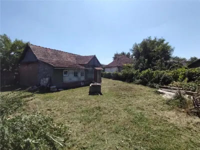 RECO Teren intravilan in Paleu la doar  22euro/mp - foto 4