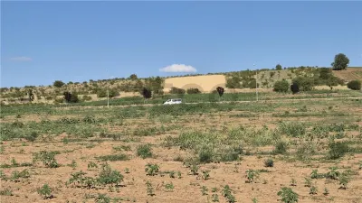 Reco Teren Extravilan Episcopia aproape de Remarkt - foto 3