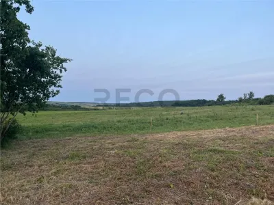 RECO Teren in Paleu 903 mp, acces rapid din Saldabagiu de Munte - foto 9