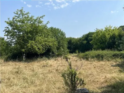 RECO Teren intravilan Tileagd 2337 mp - foto 4