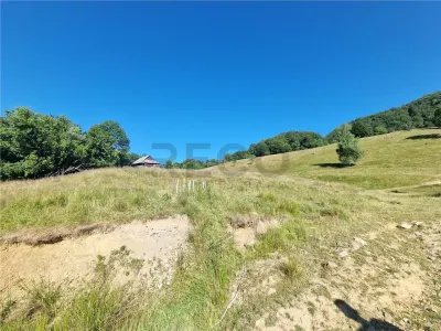 RECO teren extravilan Remeti - foto 7