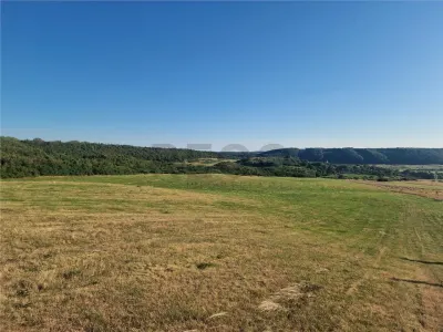 RECO teren extravilan Betfia - foto 5